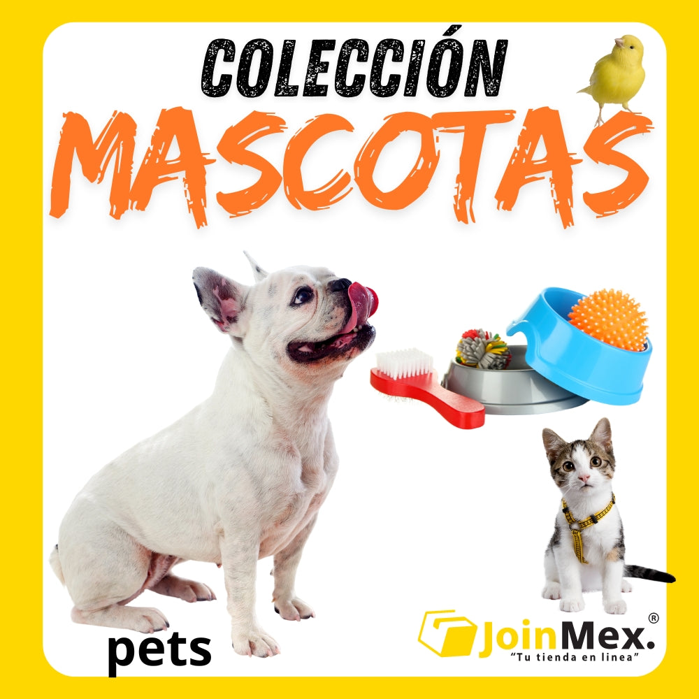 Animales y Mascotas