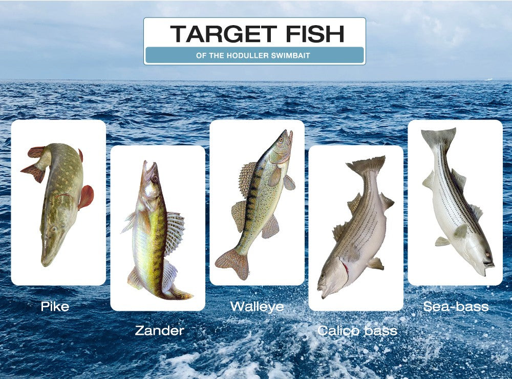 2024 nuevo cebo blando 5 tamaños Hoduller Swimbait para Lucio Zander Snook perca Señuelos de pesca con ojos 3D JIG Head Rig señuelo suave