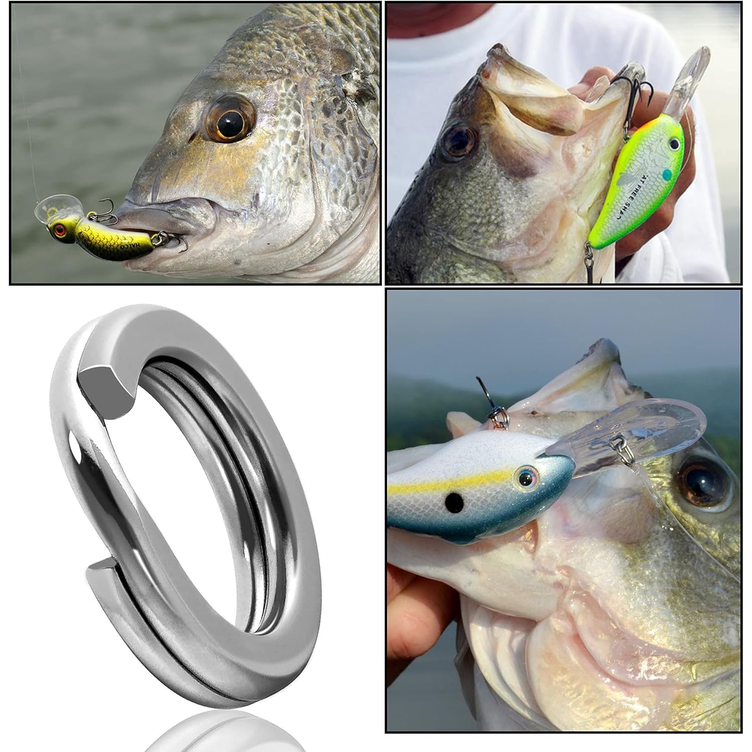 Anillos divididos de acero inoxidable para pesca, 5 tamaños, alta resistencia, gran fuerza de tracción, conector de señuelo de pesca, 200/250 Uds.