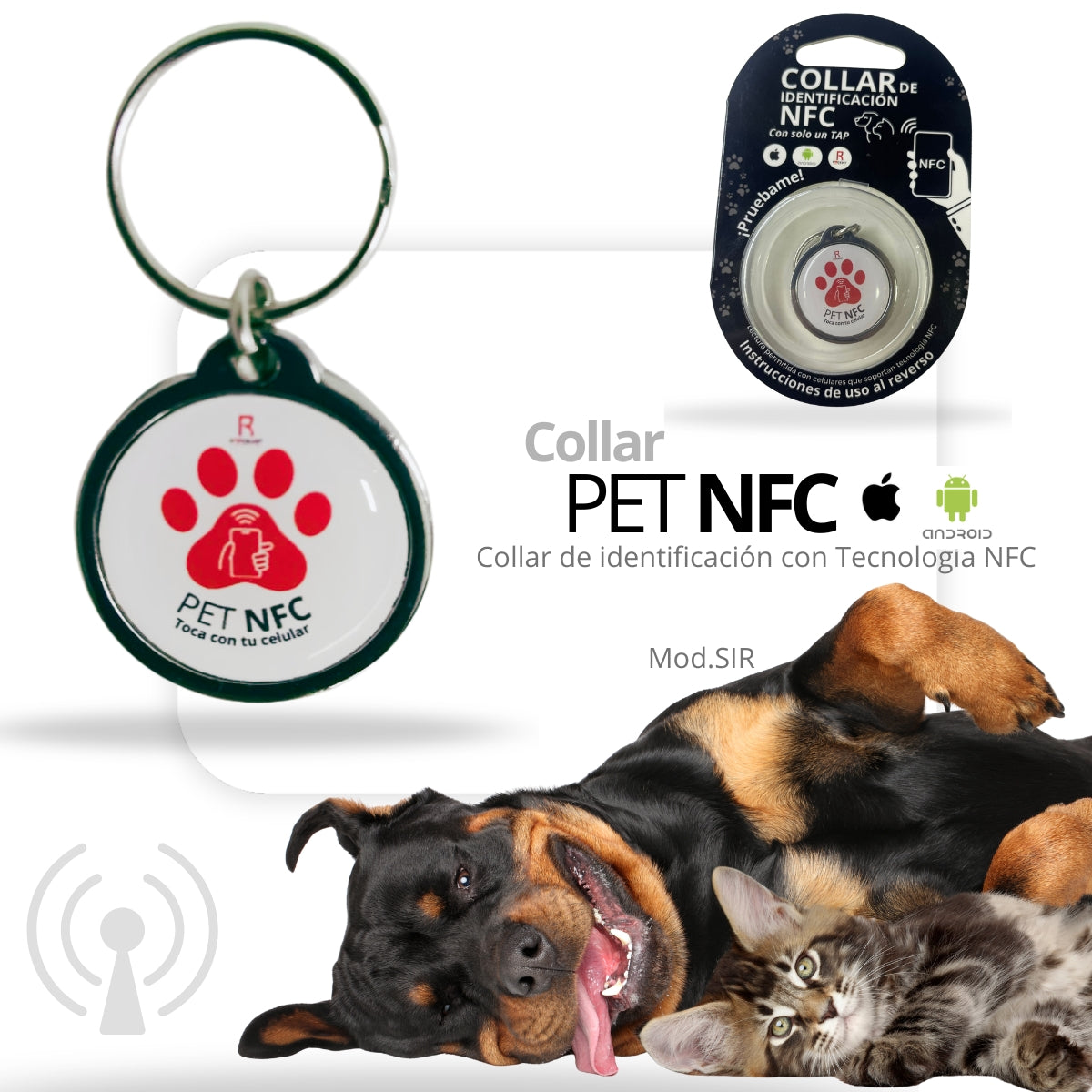 Collar de Identificación Inteligente ROCKVET MÉXICO con Tecnología NFC y QR