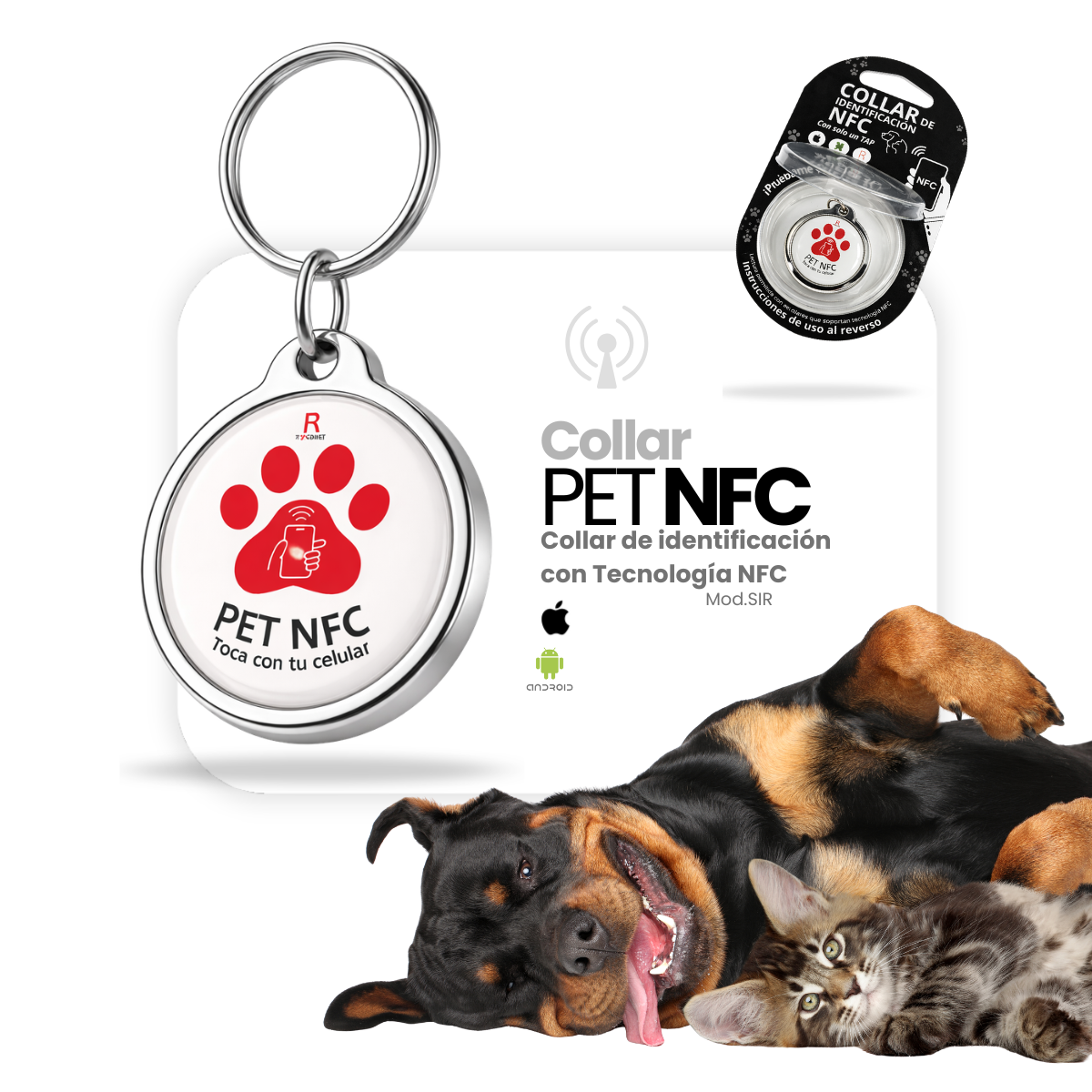 Collar de Identificación Inteligente ROCKVET MÉXICO con Tecnología NFC y QR