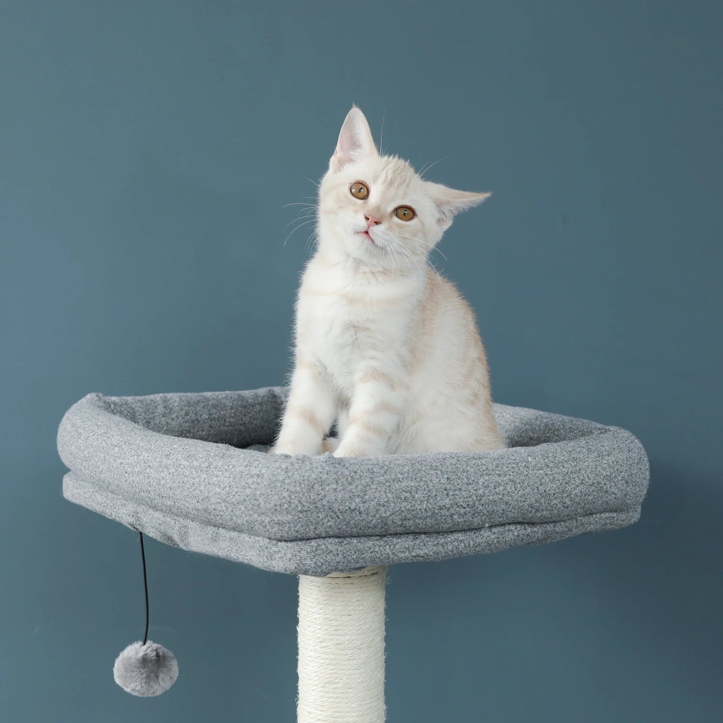 Deluxe Cat Tree Tower with Cabinet, Wooden Adjustable Height, Verti from Floor to Ceiling