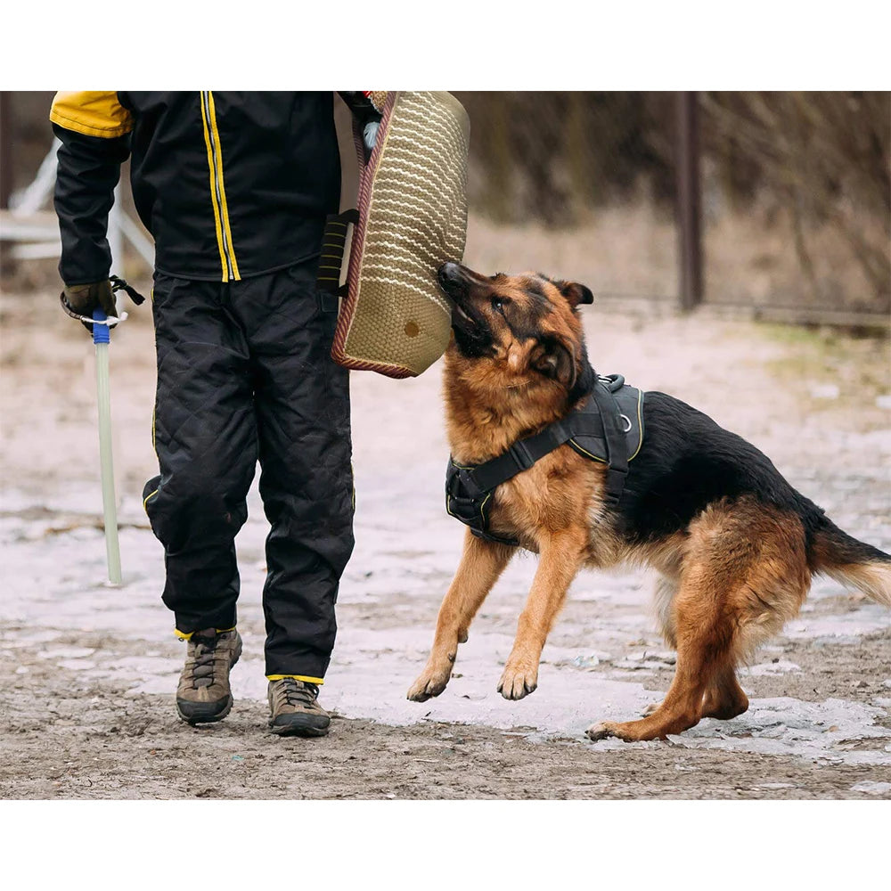 Manga de brazo de entrenamiento para perros, juego de entrenamiento profesional