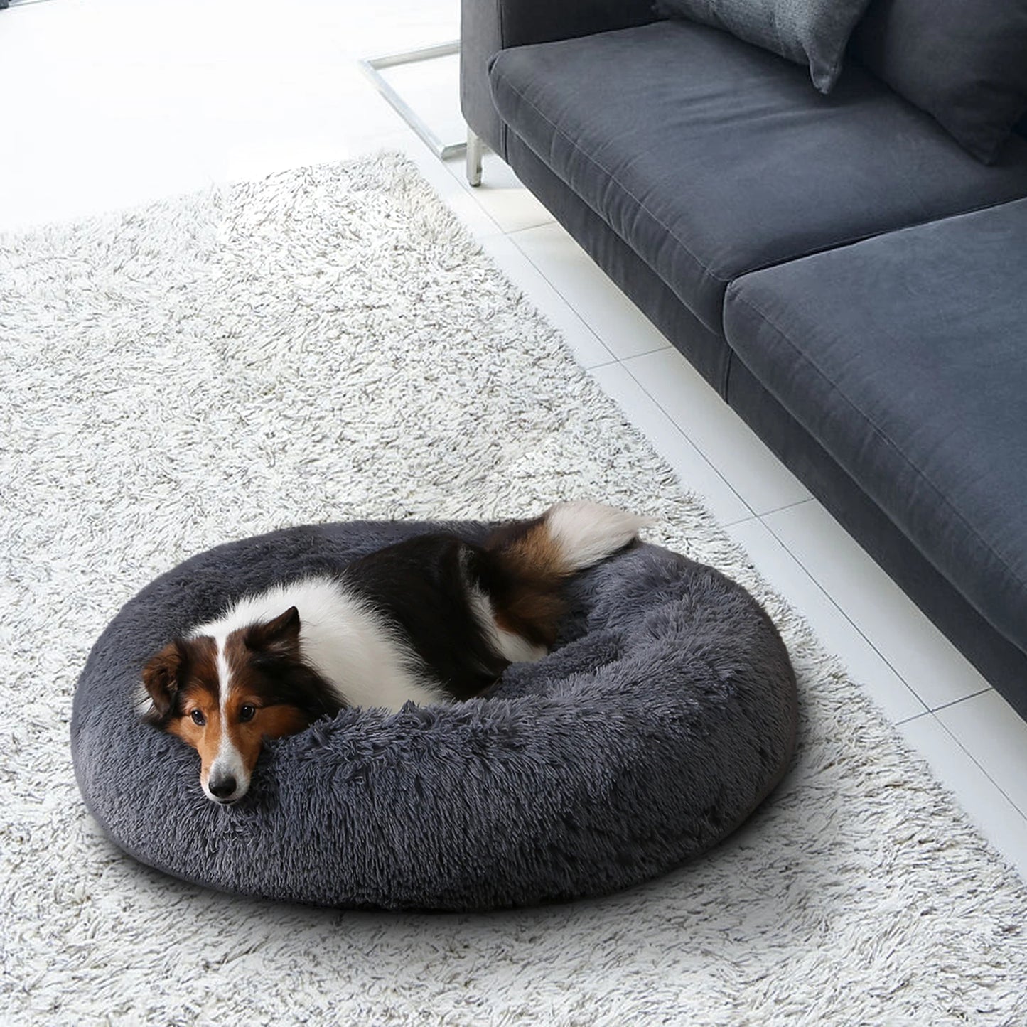 Cama King de felpa para perro, sofá extraíble, lavable, divertido, para exteri