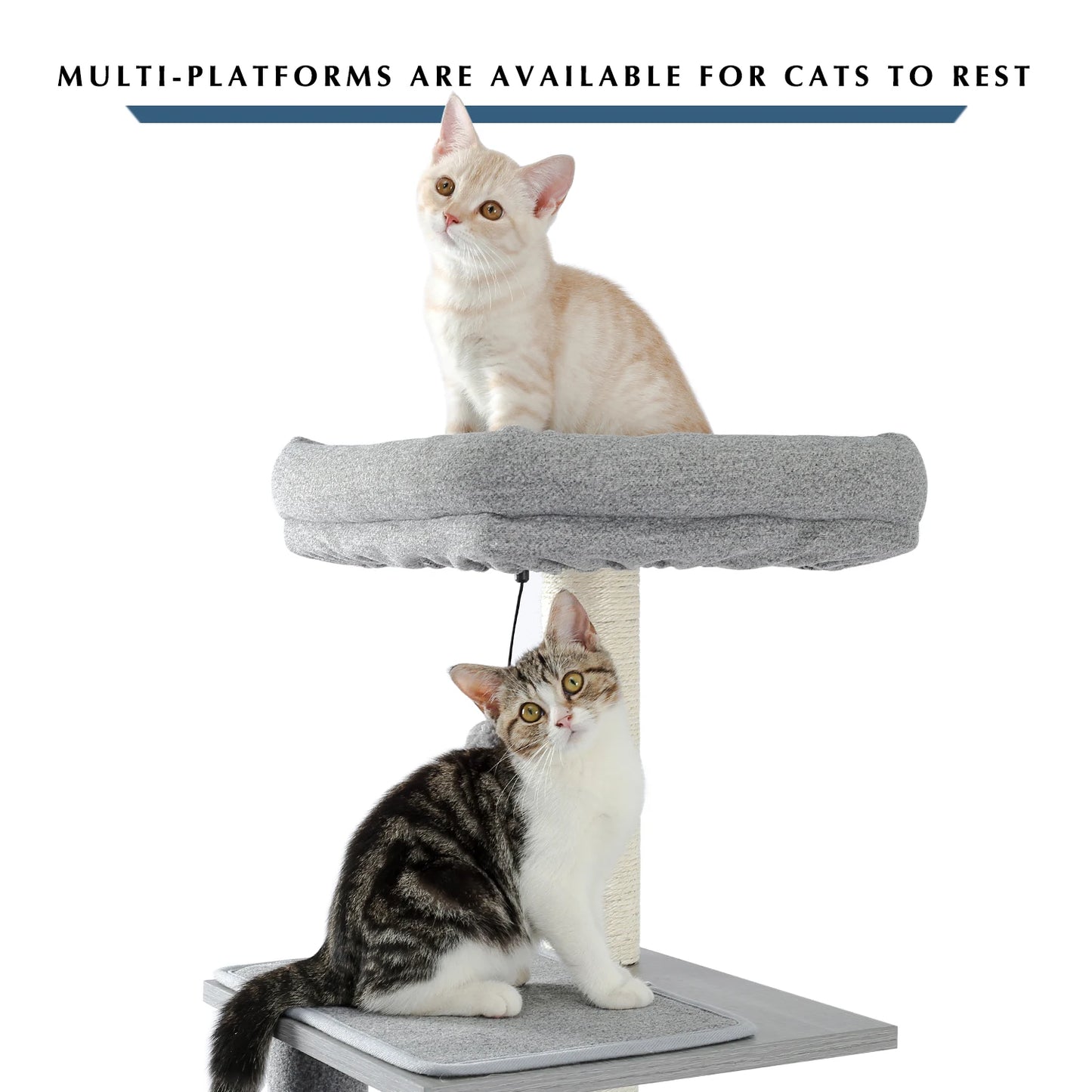 Deluxe Cat Tree Tower with Cabinet, Wooden Adjustable Height, Verti from Floor to Ceiling