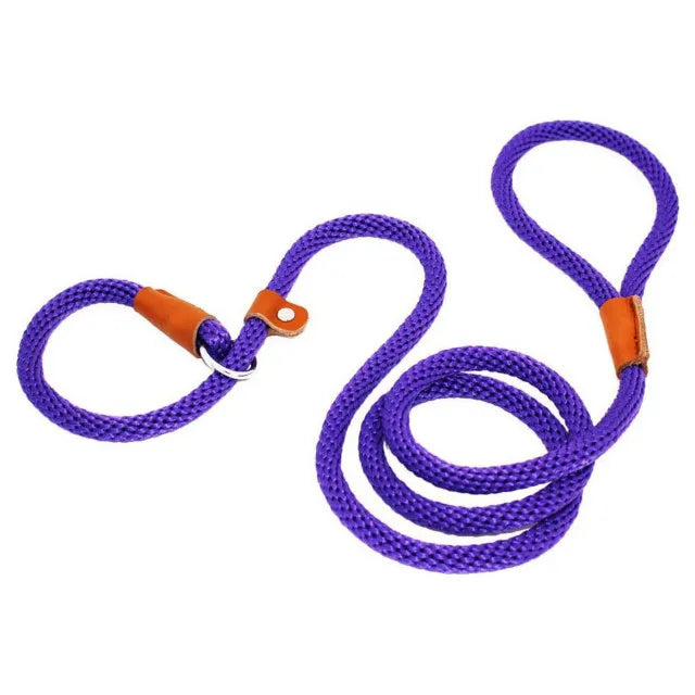 Collar para perro, correa de plomo antideslizante, cuerda trenzada de alta resis
