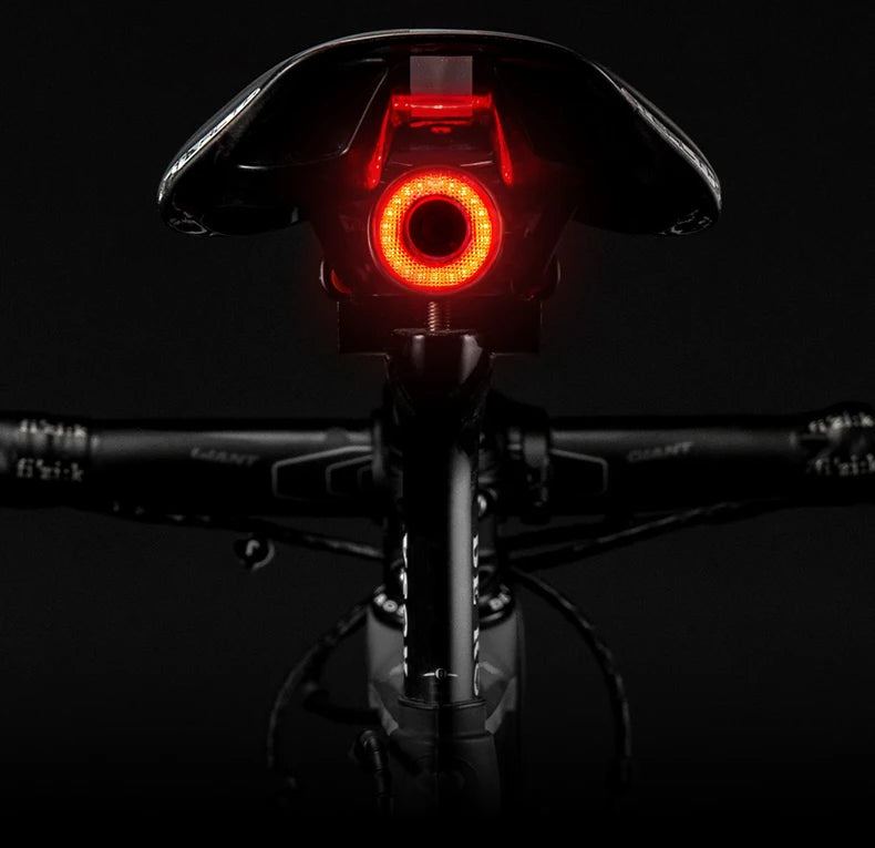 ROCKBROS bicicleta inteligente Auto freno detección luz IPx6 impermeable LED carga ciclismo luz trasera bicicleta luz trasera accesorios Q5