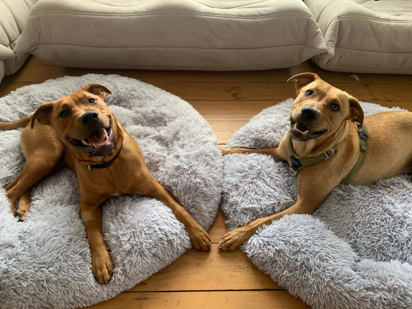 Cama redonda supersuave para mascotas, casa de felpa larga para perros medianos