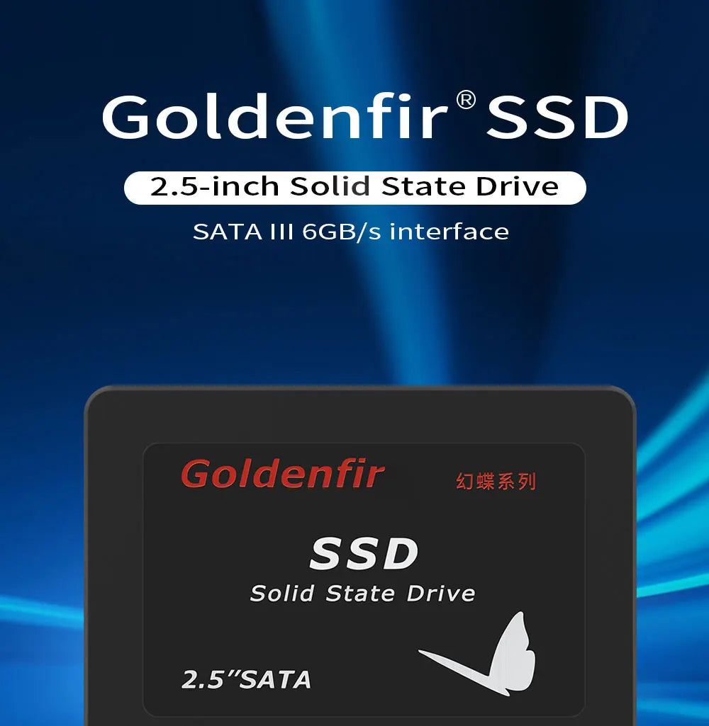Goldenfir-disco duro de estado sólido para ordenador portátil, 120GB, 128GB, 2