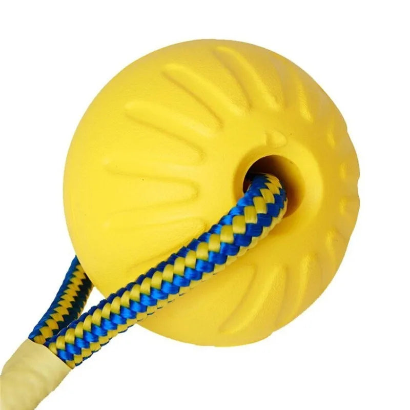 Indestructible Rubber Teeth Bite Ball Fun Training Ball 