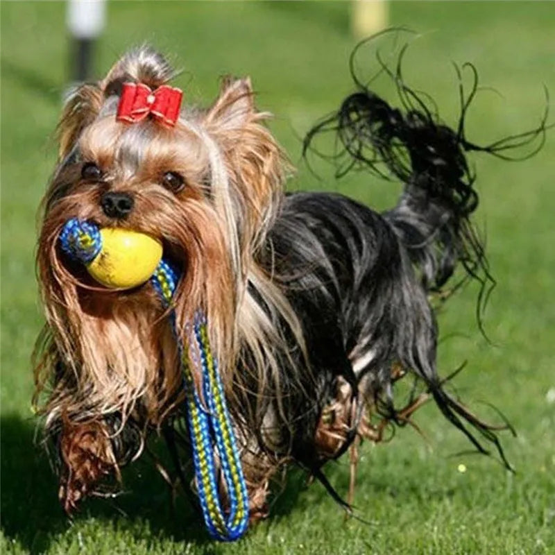 Indestructible Rubber Teeth Bite Ball Fun Training Ball 