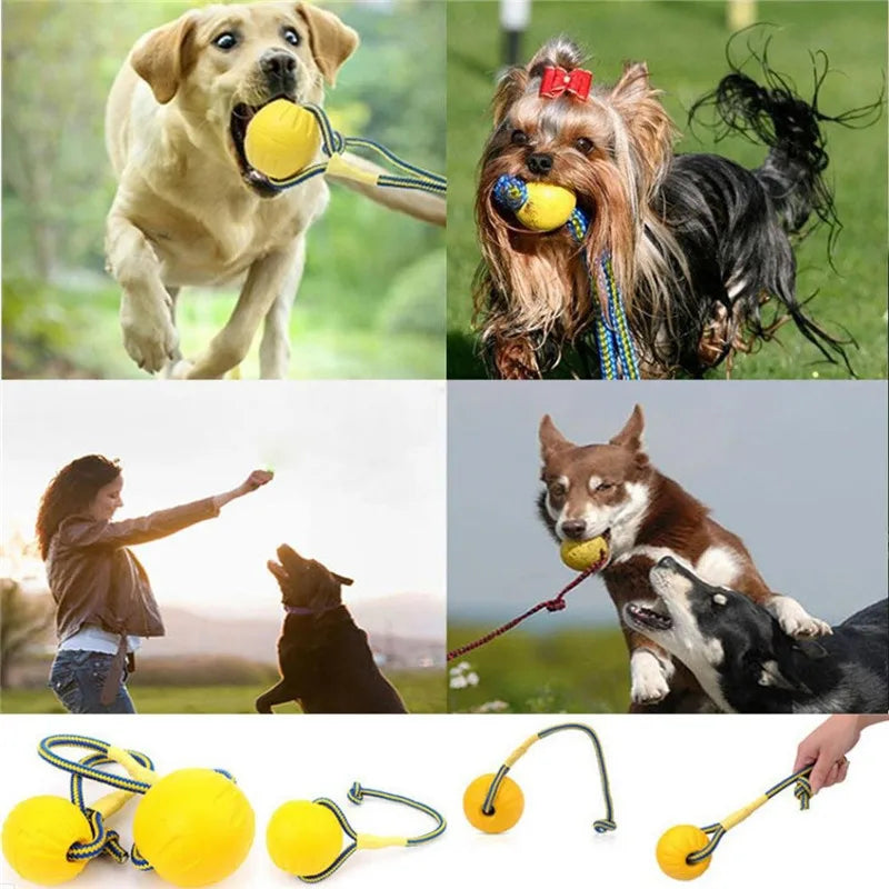 Indestructible Rubber Teeth Bite Ball Fun Training Ball 