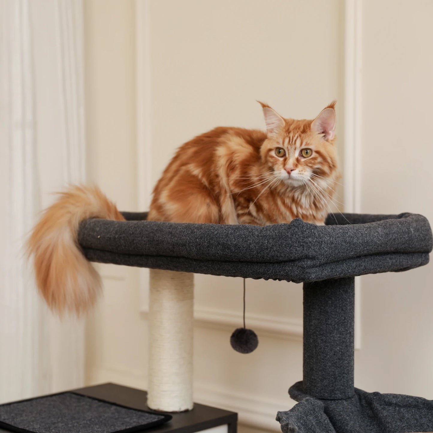 Deluxe Cat Tree Tower with Cabinet, Wooden Adjustable Height, Verti from Floor to Ceiling