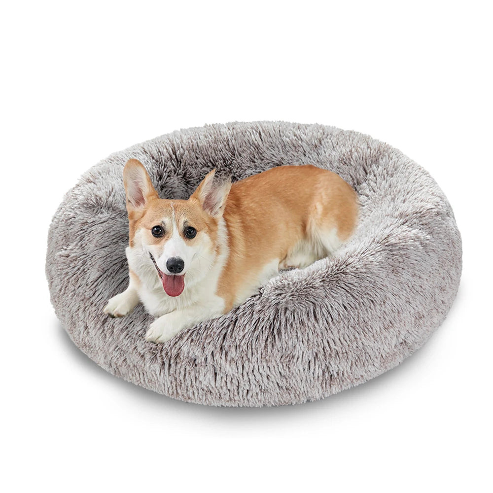 Cama King de felpa para perro, sofá extraíble, lavable, divertido, para exteri