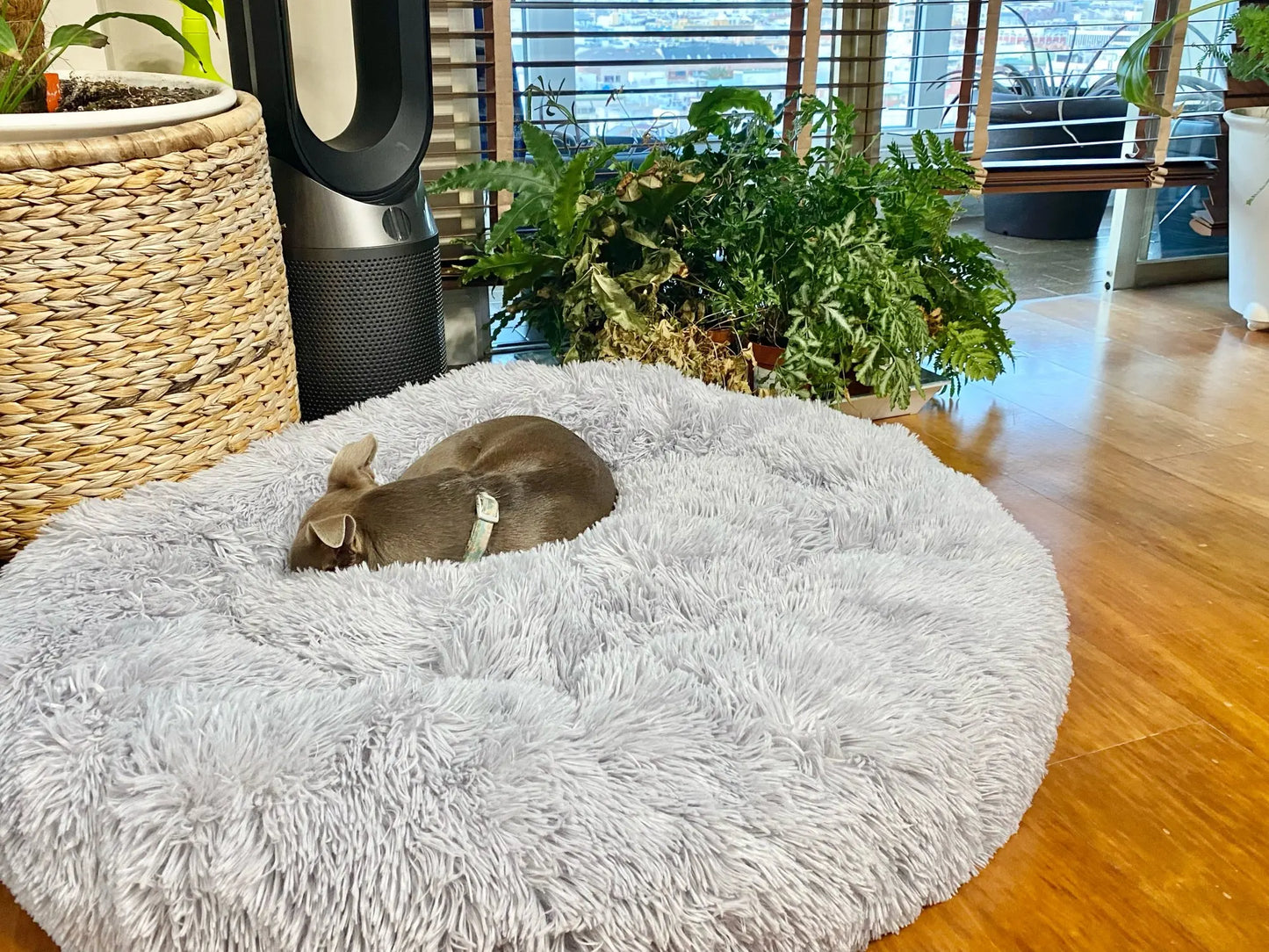 Cama redonda supersuave para mascotas, casa de felpa larga para perros medianos