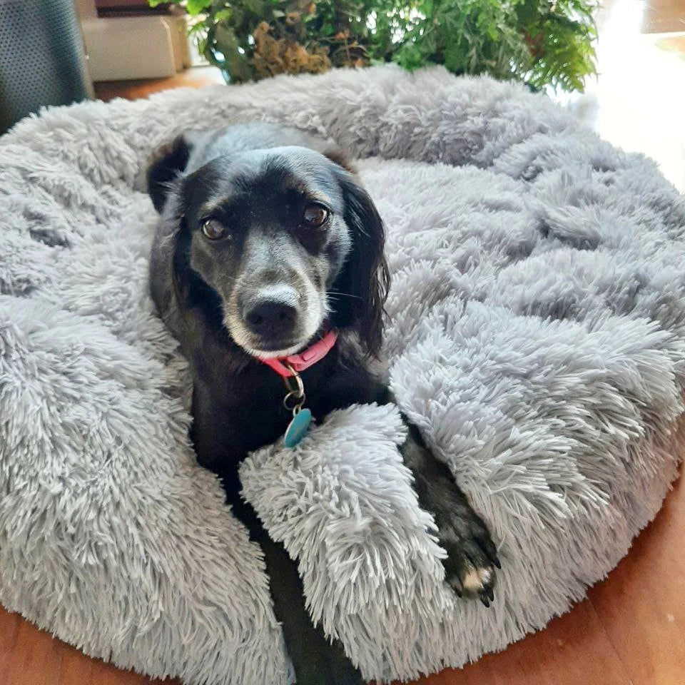 Cama redonda supersuave para mascotas, casa de felpa larga para perros medianos