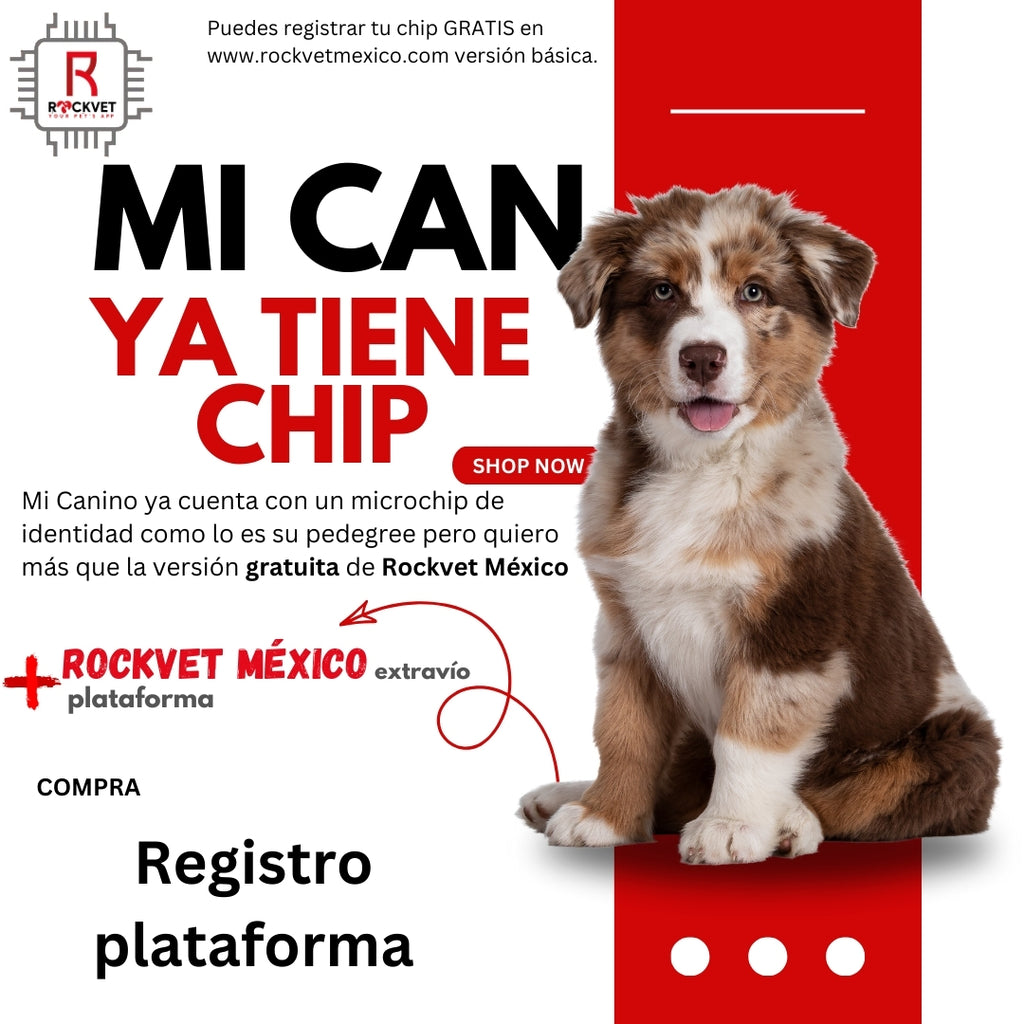 Chip de identificación animal ROCKVET MÉXICO