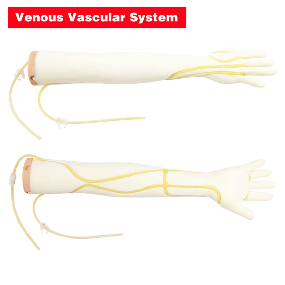DARHMMY IV brazo de inyección, flebotomía, Kit de práctica de infusión IV, v