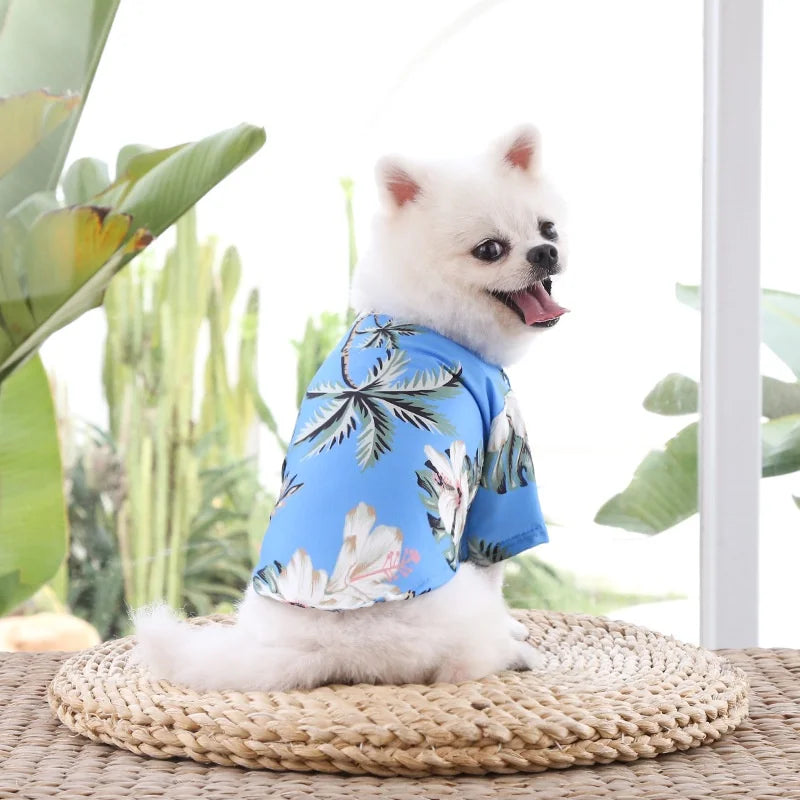 Camisa de piña de playa para perros pequeños y medianos, ropa Hawaiana para perros y gatos, golden retriever, temporada de primavera y verano