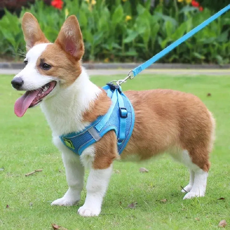 Conjunto de arnés y correa reflectante para mascotas, chaleco sin tirones para perros y gatos, malla transpirable