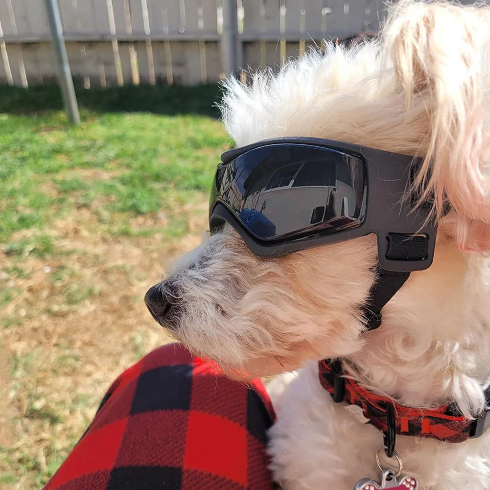 Pet UV Protection Sunglasses Outdoor Dog Accessories 