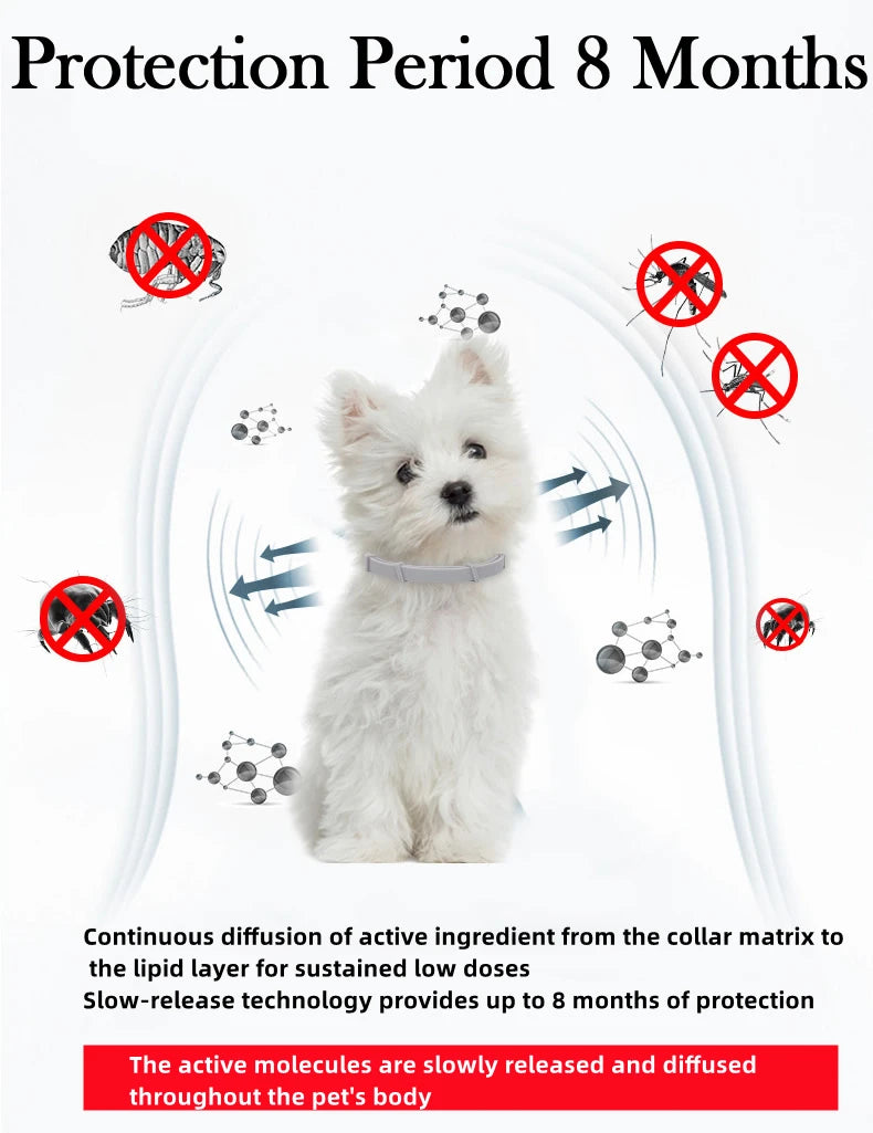 Collar antiparasitario para mascotas, accesorio retráctil de protección para pulgas y garrapatas