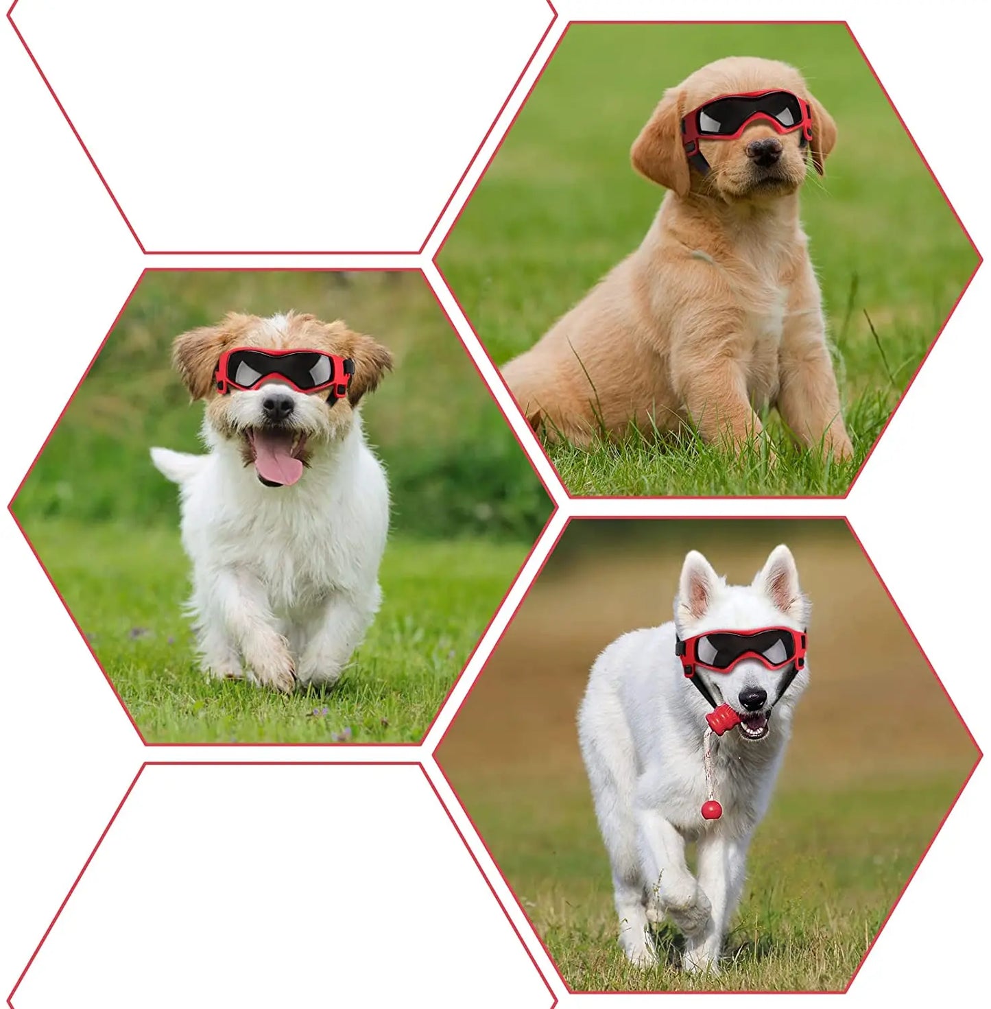 Pet UV Protection Sunglasses Outdoor Dog Accessories 