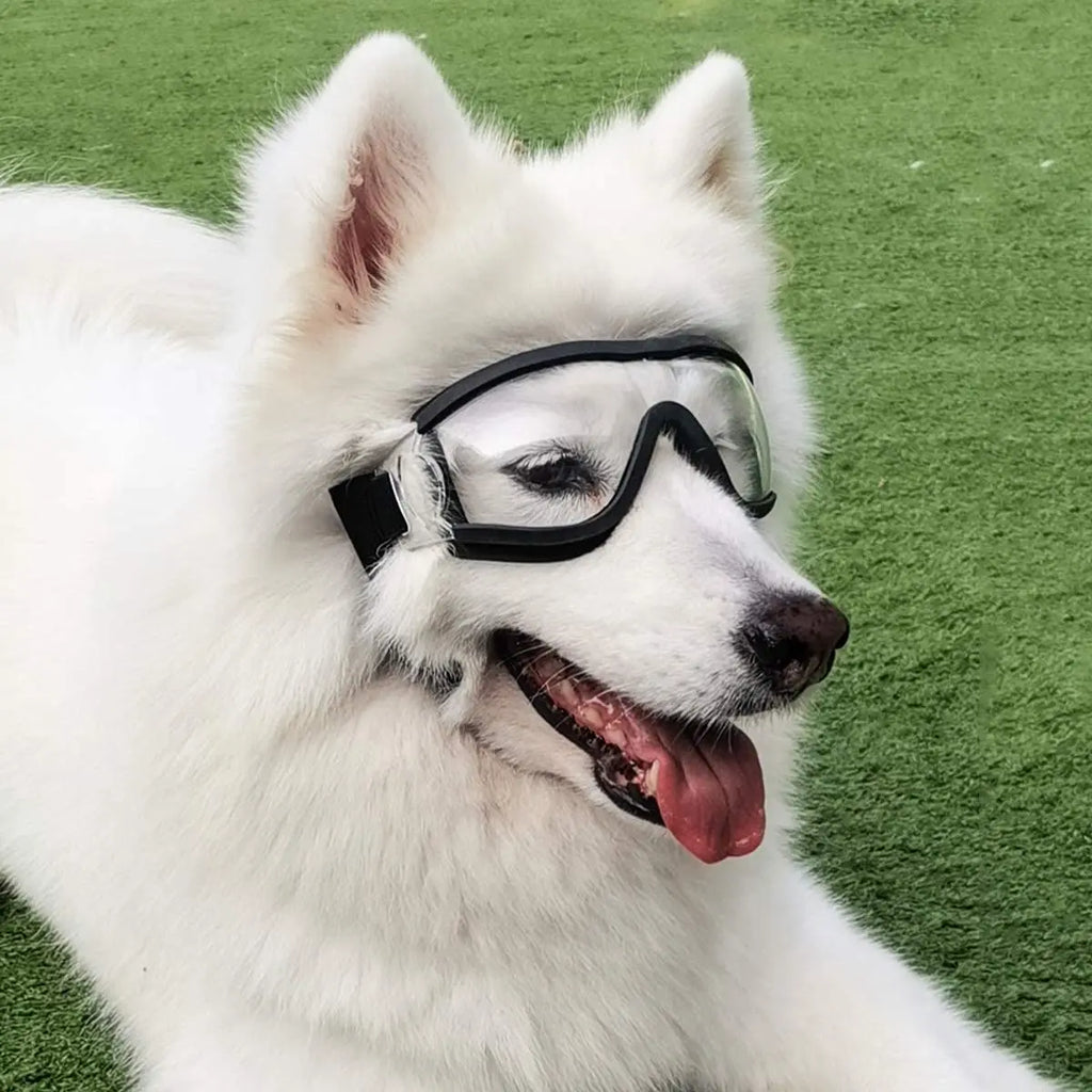 Dog Sunglasses, Adjustable Strap for Travel, Ski and Anti-Fog, Goggles 