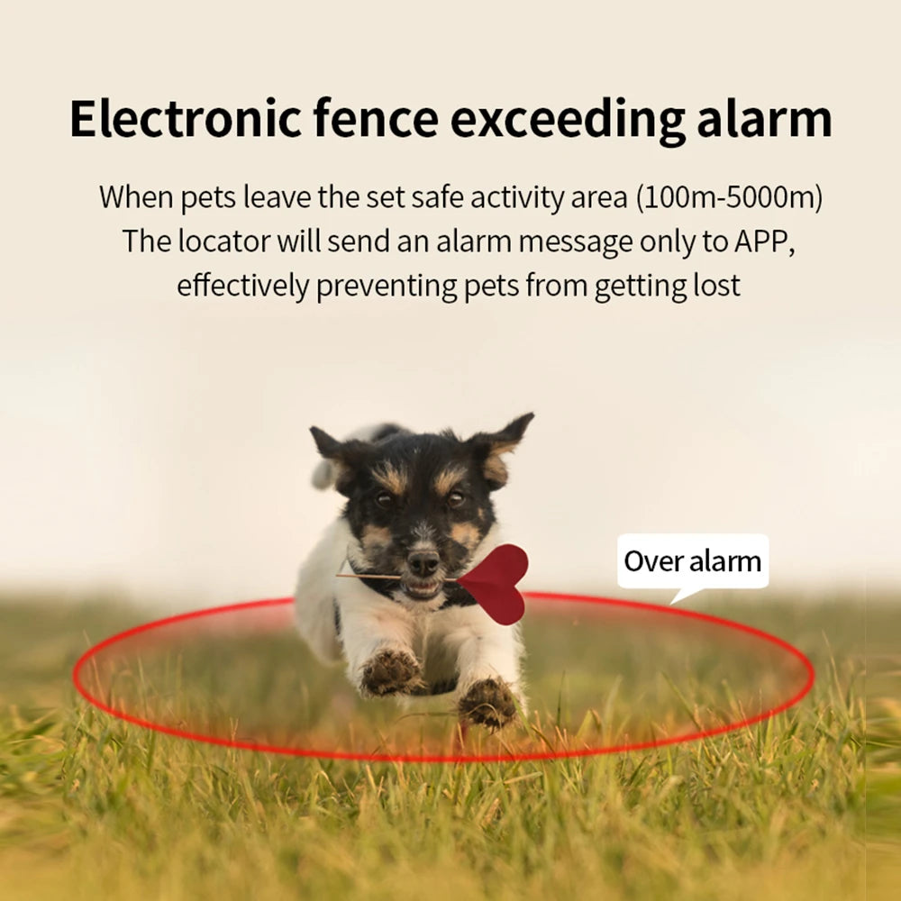 Rastreador GPS inteligente G12 multifuncional para mascotas, Mini Collar anti pérdida, dispositivo localizador impermeable para perros y gatos, accesorios para mascotas