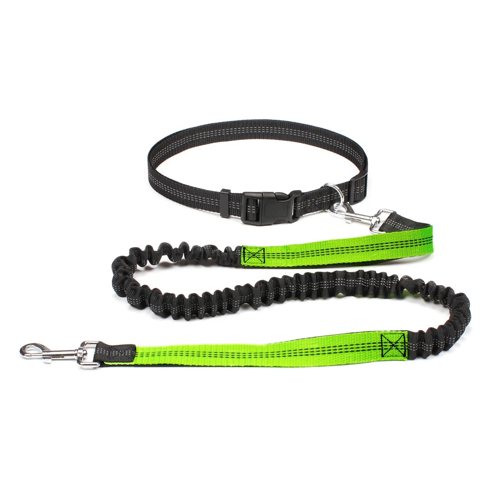 Dog Leash for Walking Running Jogging Adjustable Waist Belt C 