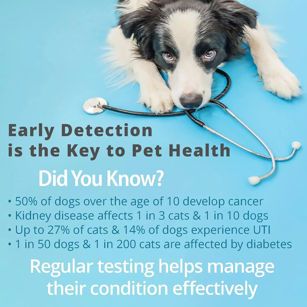 Urine Test Strips for Cats and Dogs, UTI Test Kit for Cats and Dogs 