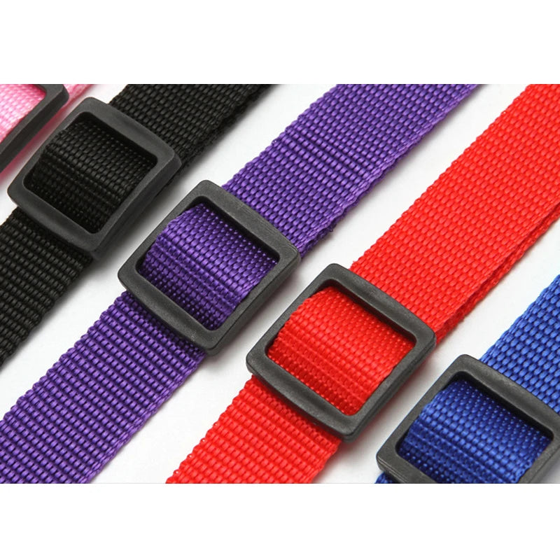 Cinturón de seguridad de coche para mascotas, correa de plomo de nailon, cinturón de seguridad de asiento trasero, Collar de arnés ajustable para perros, accesorios para mascotas, Color sólido, 2 en 1