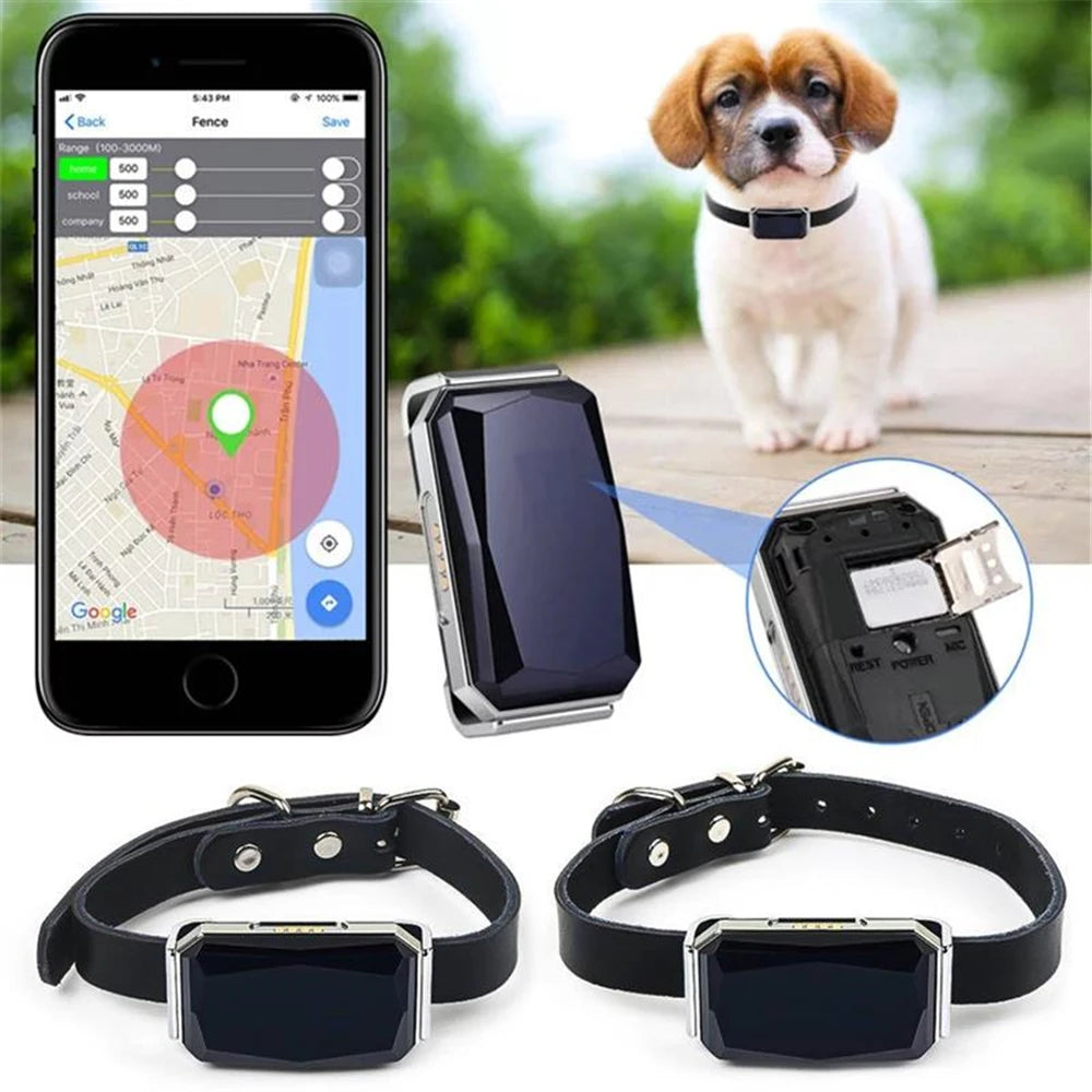 Rastreador GPS inteligente G12 multifuncional para mascotas, Mini Collar anti pérdida, dispositivo localizador impermeable para perros y gatos, accesorios para mascotas