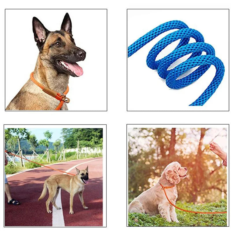 Dog Collar Anti-slip Lead Leash High Strength Braided Rope 