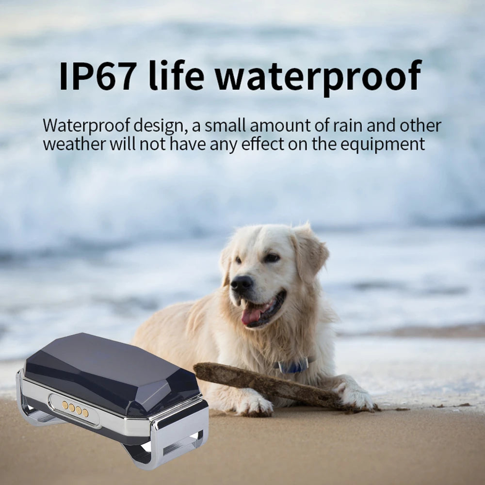 Rastreador GPS inteligente G12 multifuncional para mascotas, Mini Collar anti pérdida, dispositivo localizador impermeable para perros y gatos, accesorios para mascotas