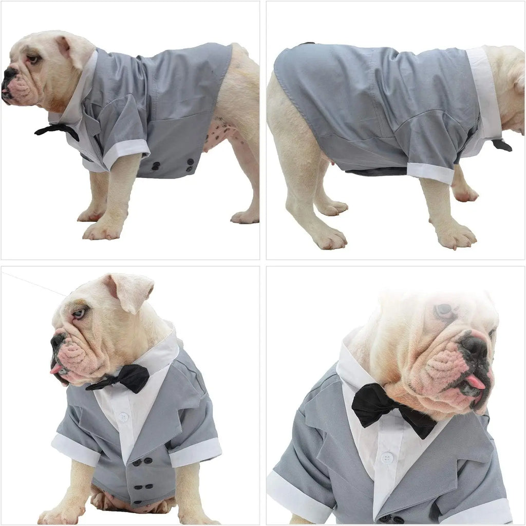 Disfraz de Bulldog para perro, esmoquin Formal con pajarita negra, ropa de boda para Pugs/Bulldog Francés, novedad
