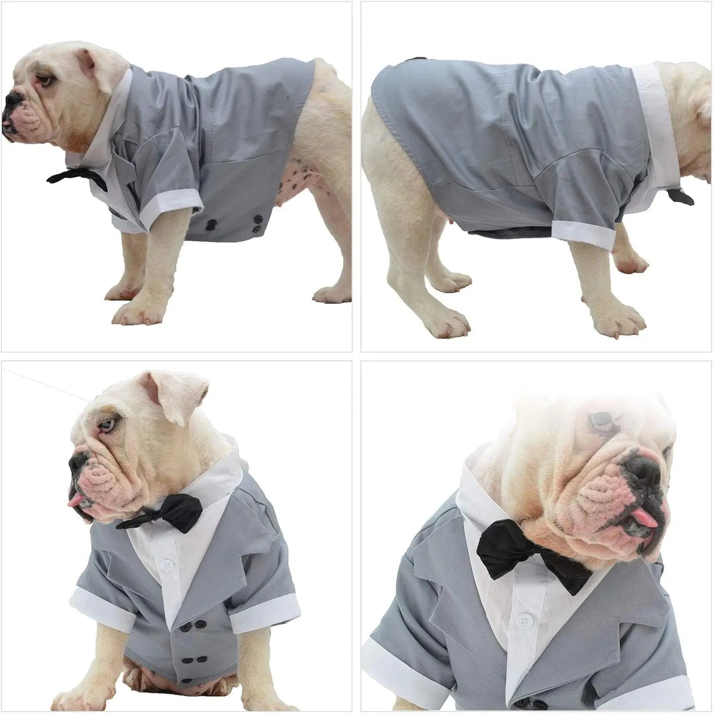 New Bulldog Costume Dog Suit Formal Tuxedo with Black Bowtie Wedding Clothing