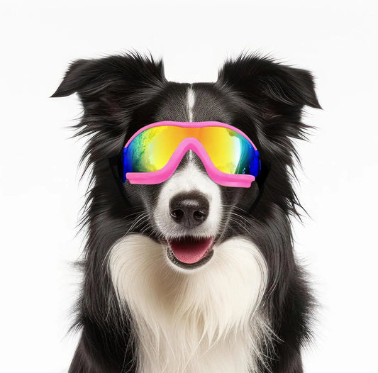 Dog Sunglasses, Adjustable Strap for Travel, Ski and Anti-Fog, Goggles 