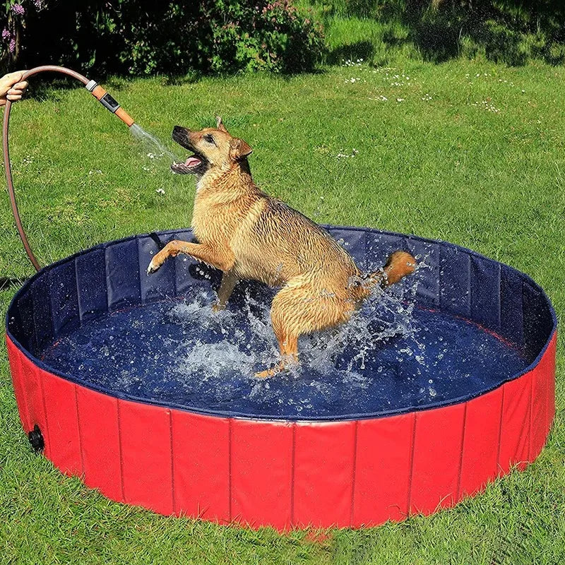 Piscina plegable para perros, bañera para mascotas, accesorios para mascotas