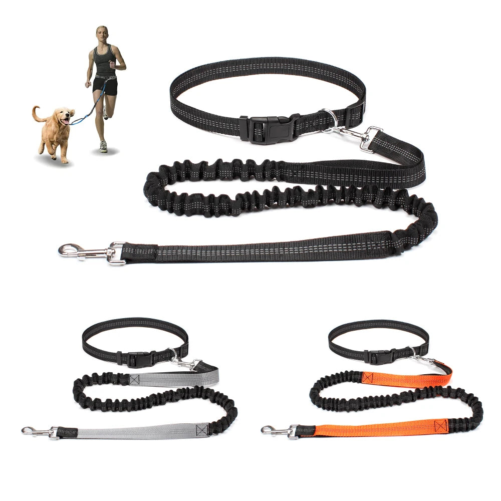 Dog Leash for Walking Running Jogging Adjustable Waist Belt C 