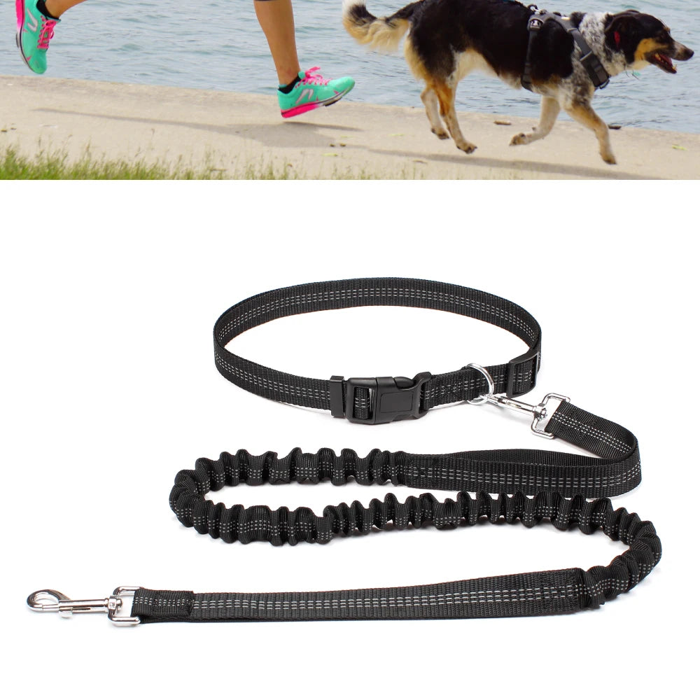 Dog Leash for Walking Running Jogging Adjustable Waist Belt C 