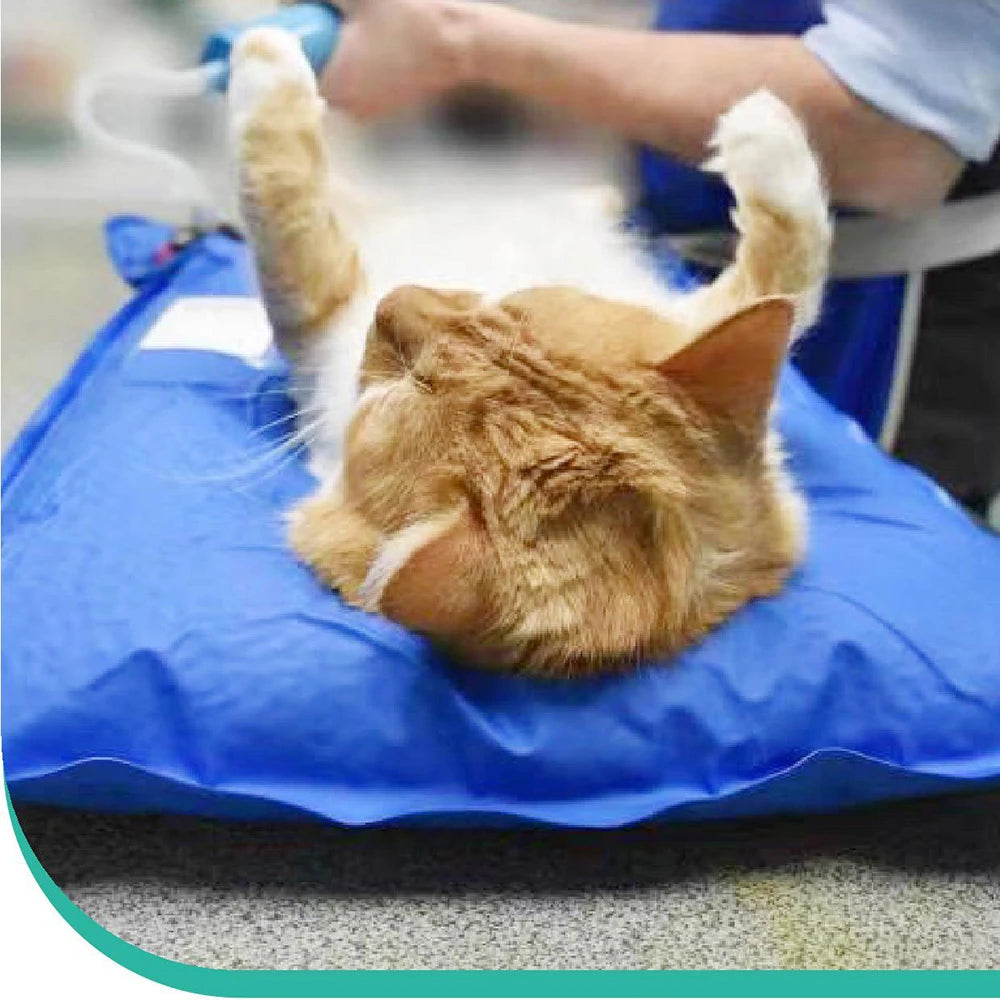 Pet Vacuum Positioning Mat Surgical Accessories 