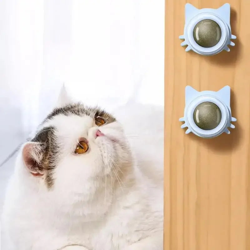 Bolas de hierba gatera divertidas y lickables para gatos, bolas de hierba gatera para jugar a masticar, limpieza de dientes, juguete para gatos pequeños y medianos, suministros para mascotas