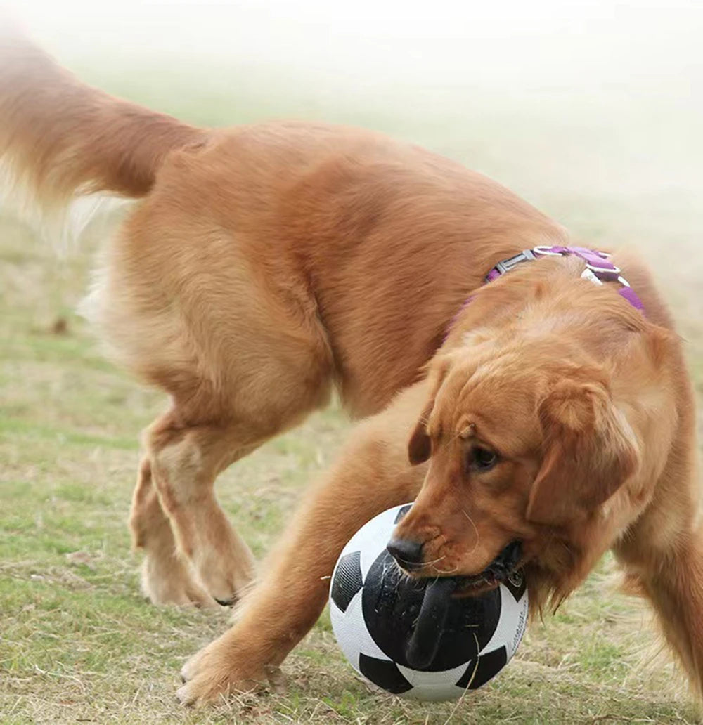 Dog Toy Ball Bite Resistant Basketball 