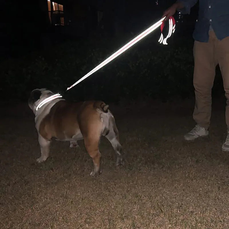 Arnés con correa de plomo para perros y gatos, cuerda de remolque con reflejo nocturno, 1,2/1,5/1,8 m, correa de entrenamiento para caminar