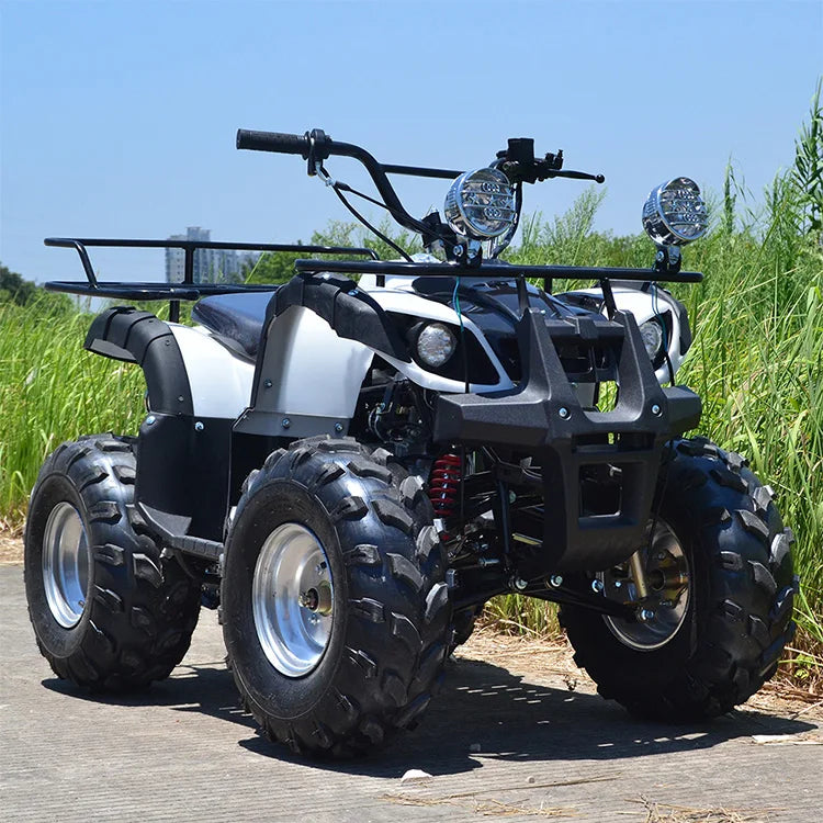 ITLY-buggy de playa de cuatro ruedas, todoterreno, montaña, ATVcustom, 125cc, 1