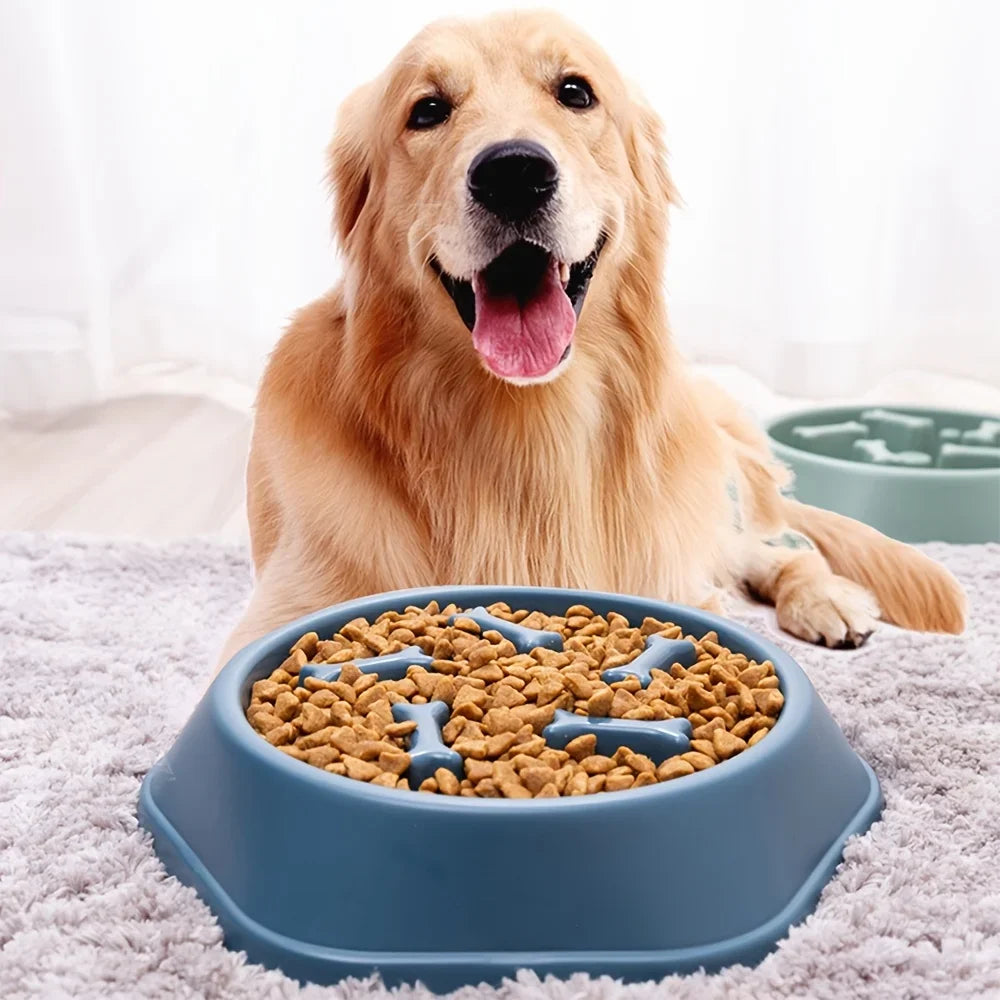 Comedero lento antiasfixia para perros y gatos, cuenco antideslizante de gran capacidad para aliviar la ansiedad, alimentación lenta, suministro para mascotas