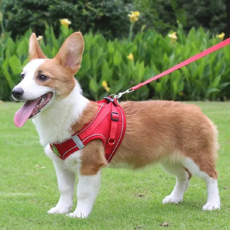 Conjunto de arnés y correa reflectante para mascotas, chaleco sin tirones para perros y gatos, malla transpirable