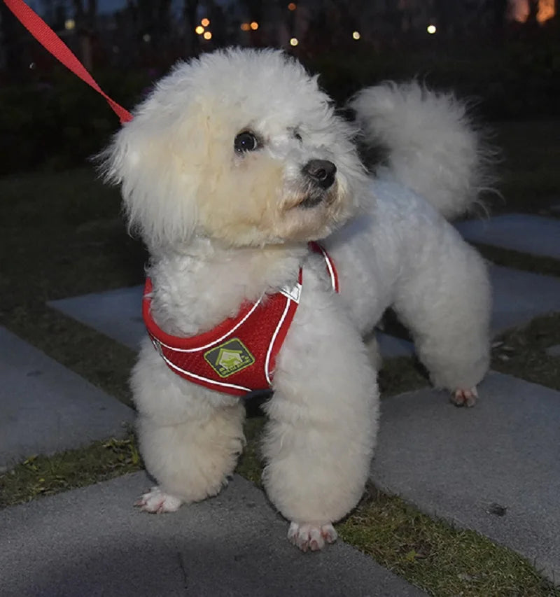 Conjunto de arnés y correa reflectante para mascotas, chaleco sin tirones para perros y gatos, malla transpirable