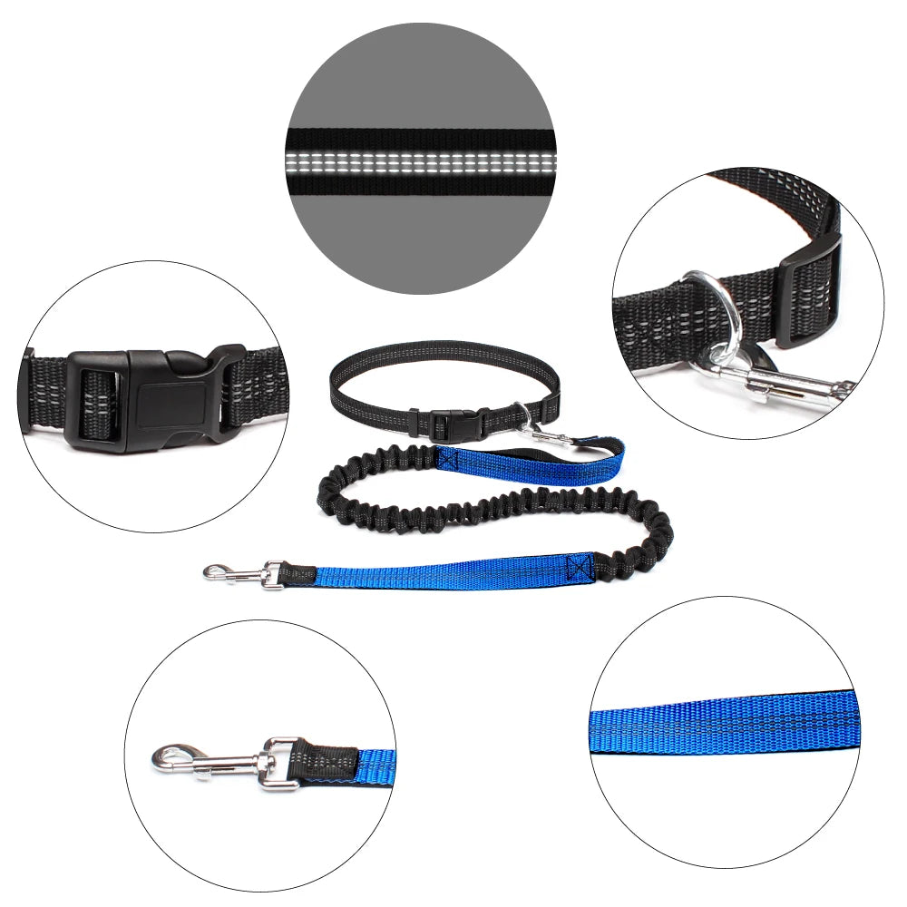 Dog Leash for Walking Running Jogging Adjustable Waist Belt C 